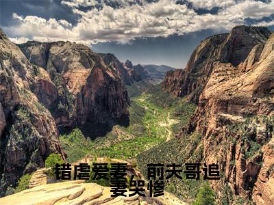 错虐爱妻，前夫哥追妻哭惨小说全文免费阅读（林苒秦亿洲）全文免费阅读无弹窗_林苒秦亿洲小说全文免费阅读