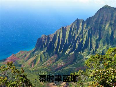 秦时聿蓝珈小说全文免费阅读无弹窗大结局-蓝珈秦时聿小说在哪里可以看