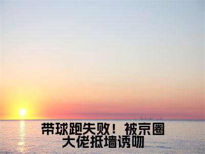 萧京野时今棠（带球跑失败！被京圈大佬抵墙诱吻）免费小说完整版阅读-（萧京野时今棠）最新章节在线阅读