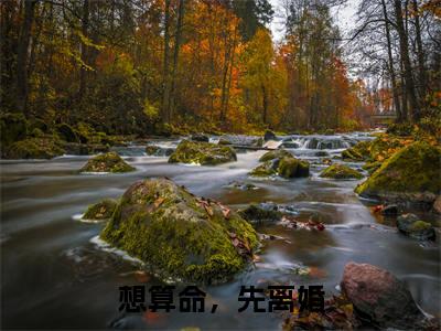 宋觅司祁承（想算命，先离婚）免费阅读无弹窗大结局_（想算命，先离婚）宋觅司祁承最新章节列表_笔趣阁