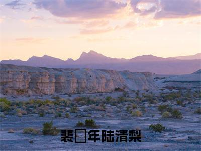 （陆清梨裴璟年）裴璟年陆清梨全文免费阅读无弹窗大结局_（裴璟年陆清梨）陆清梨裴璟年免费阅读无弹窗最新章节列表