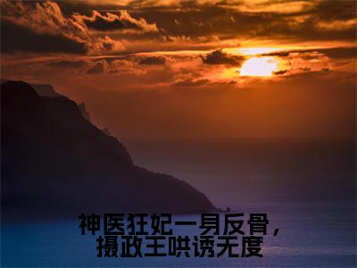 神医狂妃一身反骨，摄政王哄诱无度（林汐澜北辰渊）免费全文阅读小说_林汐澜北辰渊最新章节列表-笔趣阁（神医狂妃一身反骨，摄政王哄诱无度）