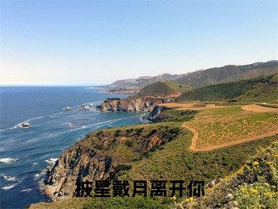 精选热门小说披星戴月离开你（林语鸢）-（林语鸢）披星戴月离开你免费阅读