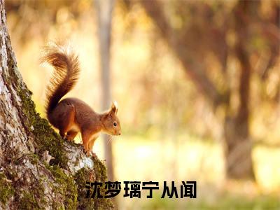 （沈梦璃宁从闻）全文免费阅读-沈梦璃宁从闻（宁从闻沈梦璃）最新章节列表阅读