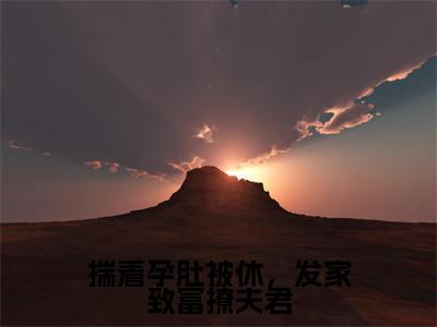 揣着孕肚被休，发家致富撩夫君全文（冷清霖柳恬恬）全文免费阅读无弹窗大结局_冷清霖柳恬恬全文免费阅读最新章节列表