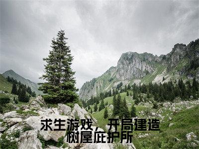求生游戏，开局建造树屋庇护所沈星落抖音新书热荐-小说求生游戏，开局建造树屋庇护所全文完整版免费阅读