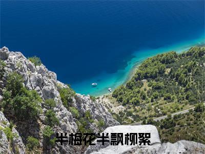 小说半梅花半飘柳絮在线阅读-正版小说《楚嫣然宋明哲》半梅花半飘柳絮全文阅读