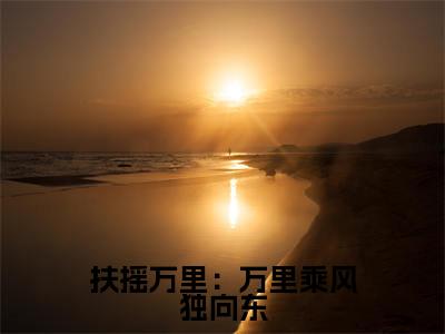 扶摇万里：万里乘风独向东小说贺婉无弹窗免费阅读-最新小说扶摇万里：万里乘风独向东（贺婉）全文阅读