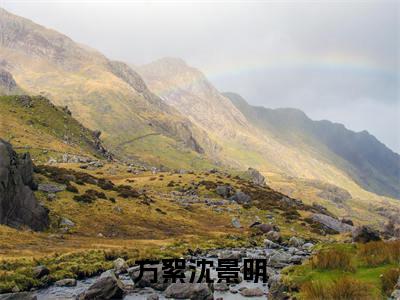 方絮沈景明（沈景明方絮）全文小说-方絮沈景明小说最新章节免费阅读