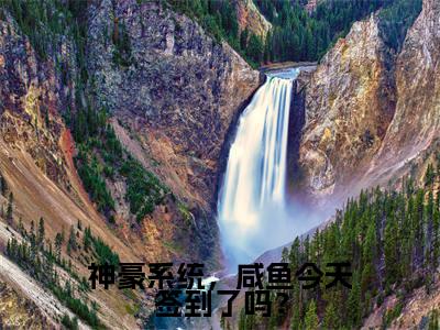 神豪系统，咸鱼今天签到了吗？楚宛晨免费阅读无弹窗最新章节列表-（神豪系统，咸鱼今天签到了吗？）楚宛晨全文免费阅读大结局笔趣阁