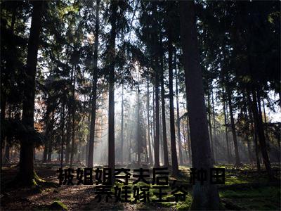 赵二丫（被姐姐夺夫后，种田养娃嫁王爷）全文免费阅读无弹窗大结局_被姐姐夺夫后，种田养娃嫁王爷最新章节列表笔趣阁