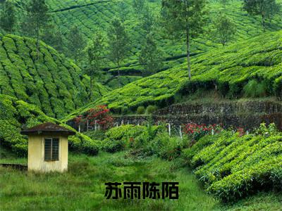 苏雨陈陌（苏雨陈陌）全文免费阅读无弹窗大结局_苏雨陈陌免费最新章节列表_笔趣阁