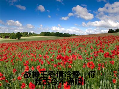 战神王爷请冷静，你我古今不通婚！全文免费阅读无弹窗大结局-陆云鼎乔朵朵无弹窗阅读