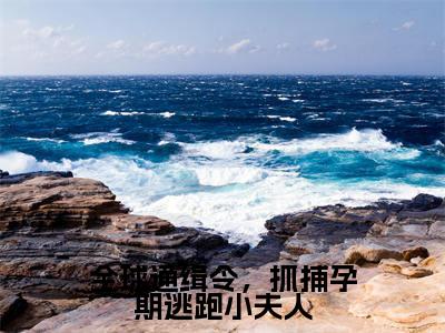 （全球通缉令，抓捕孕期逃跑小夫人）时序颜鹿小说小说全文免费时序颜鹿读最新章节列表笔趣阁（全球通缉令，抓捕孕期逃跑小夫人）