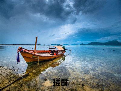 （搓酥抖音小说）周肈南许尽欢小说全文阅读免费