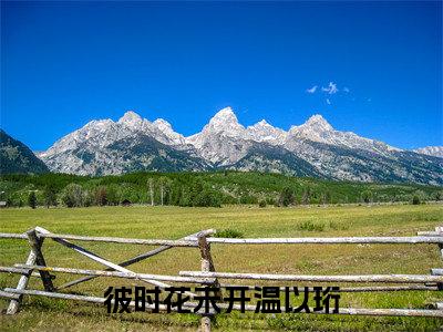 江芷温以珩（彼时花未开温以珩）全文免费阅读无弹窗大结局_（江芷温以珩小说全文免费阅读）最新章节列表