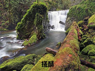 搓酥（周肈南许尽欢）免费小说-周肈南许尽欢全文阅读目录