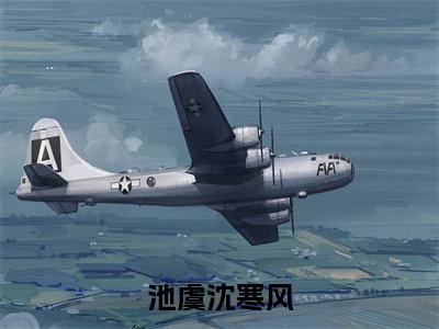 池虞沈寒风（沈寒风池虞小说全文）在线阅读无弹窗大结局-池虞沈寒风全文无删减版阅读