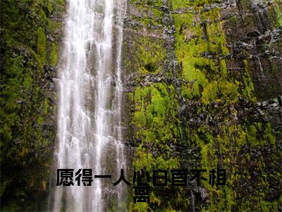杜鹃顾祁（杜鹃顾祁）小说全文免费阅读正版无弹窗_愿得一人心白首不相离小说免费阅读全文无弹窗_笔趣阁
