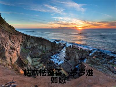 安澜裴聿璟（枯木怯逢春，岁岁难如愿）高质量小说免费阅读-主角是安澜裴聿璟的小说叫什么名字（枯木怯逢春，岁岁难如愿）