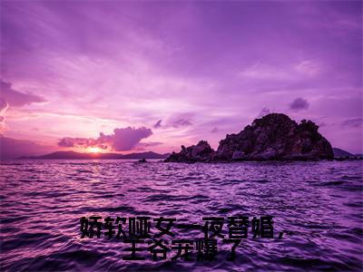 娇软哑女一夜替婚，王爷宠爆了小说（绿袖顾砚）全文免费阅读无弹窗大结局_（绿袖顾砚免费阅读）最新章节列表_笔趣阁（绿袖顾砚）
