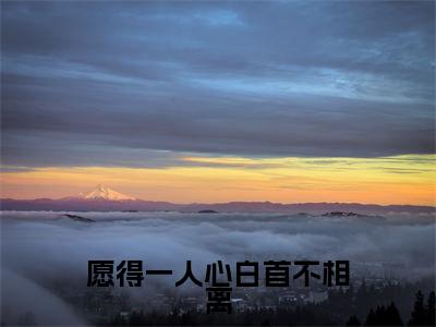 愿得一人心白首不相离（杜鹃顾祁）全文免费阅读无弹窗大结局_杜鹃顾祁（愿得一人心白首不相离最新章节在线阅读）_笔趣阁