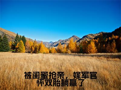 陆观山虞梨被闺蜜抢亲，嫁军官怀双胎躺赢了在线小说-被闺蜜抢亲，嫁军官怀双胎躺赢了全文无删减版阅读