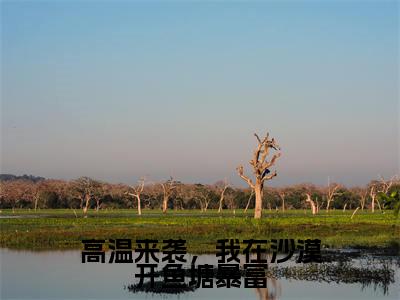 高温来袭，我在沙漠开鱼塘暴富全文免费阅读大结局林岑月陆观宇最新章节列表