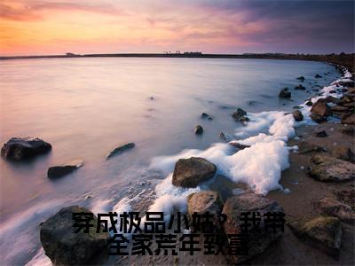 （宋圆圆）穿成极品小姑？我带全家荒年致富全文免费阅读无弹窗_（穿成极品小姑？我带全家荒年致富小说免费阅读）最新章节列表笔趣阁