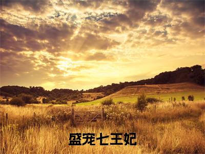 盛宠七王妃（白初筱楚天泽）全文免费阅读无弹窗大结局_盛宠七王妃全文大结局最新章节列表_笔趣阁