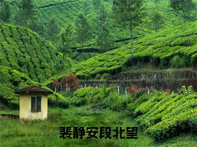 （热推新书）裴静安段北望完整版免费小说无弹窗阅读_裴静安段北望最新章节列表_笔趣阁（段北望裴静安）