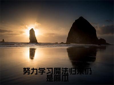 贝琳达韦斯莱小说最新章节阅读-努力学习魔法归来仍是麻瓜全文免费试读