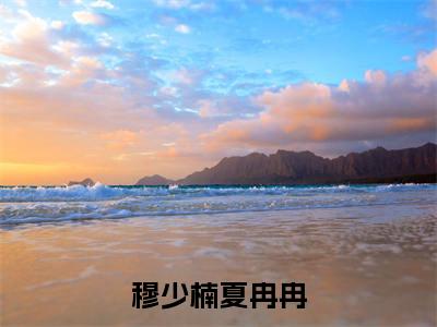 穆少楠夏冉冉（夏冉冉穆少楠）笔趣阁免费小说_穆少楠夏冉冉笔趣阁全文阅读