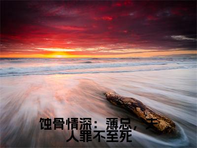许宁薄雲深全文免费在线阅读_（蚀骨情深：薄总，夫人罪不至死全文免费阅读无弹窗大结局）