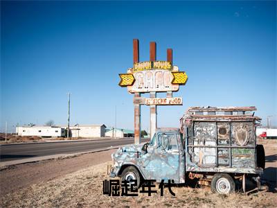陈耀（崛起年代）全文免费阅读无弹窗大结局_陈耀完整章节阅读