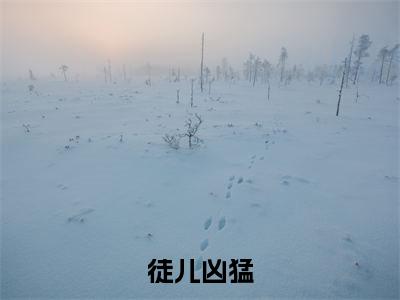 沈问天在线阅读（徒儿凶猛）全文免费阅读_徒儿凶猛最新章节列表_笔趣阁