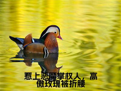 惹上恶魔掌权人，高傲玫瑰被折腰（周怀渊姜虞桉小说）全文免费阅读无弹窗大结局-周怀渊姜虞桉小说最新章节列表_笔趣阁