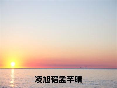 凌旭韬孟芊晴小说（孟芊晴凌旭韬）全文免费凌旭韬孟芊晴阅读无弹窗大结局-（孟芊晴凌旭韬）笔趣阁