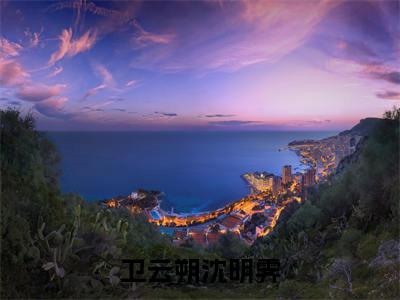 沈明霁卫云朔小说在线阅读卫云朔沈明霁无广告小说免费在线阅读（免费）+（结局）