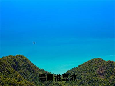 温景淮夏沐（夏沐温景淮）最火婚恋小说-（夏沐温景淮）全文免费阅读笔趣阁