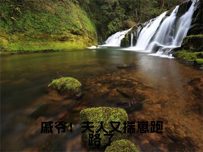 戚爷！夫人又揣崽跑路了在线阅读（戚锦荣秦颜歌）全文免费阅读无弹窗大结局_戚锦荣秦颜歌最新章节列表笔趣阁（戚爷！夫人又揣崽跑路了）