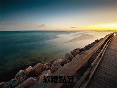 蒋鹿林晏（软糖黏牙）全文免费阅读_软糖黏牙最新章节小说免费阅读_笔趣阁蒋鹿林晏