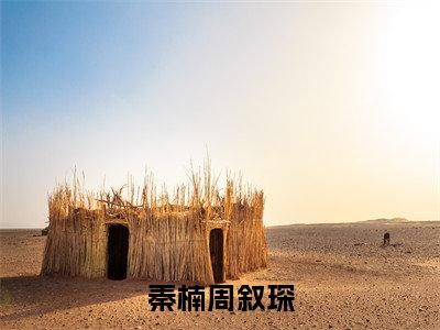 秦楠周叙琛（周叙琛秦楠）全文免费读无弹窗大结局_（周叙琛秦楠免费小说）秦楠周叙琛无弹窗最新章节列表