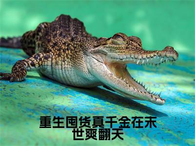 高赞小说重生囤货真千金在末世爽翻天（宋映宁）完结阅读_宋映宁重生囤货真千金在末世爽翻天免费看全文
