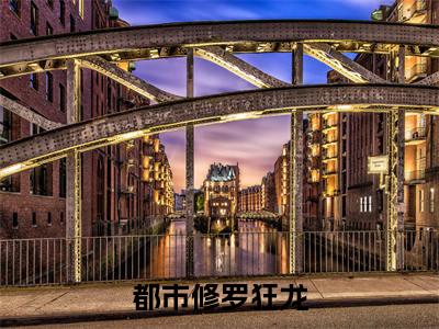 林轩都市修罗狂龙小说在哪里可以看都市修罗狂龙免费在线阅读