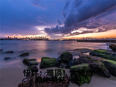 云月卿南辞小说在线阅读-快穿：难顶！大佬他竟化身粘人包小说最新章节阅读