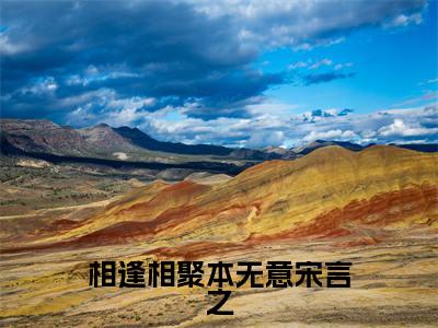 相逢相聚本无意宋言之小说全文免费阅读无弹窗，（宋言之）小说全文免费阅读