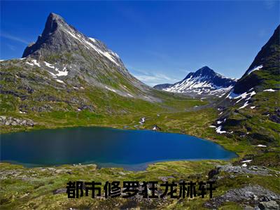 林轩（都市修罗狂龙林轩）小说免费阅读无弹窗_（林轩）最新章节列表笔趣阁（林轩）