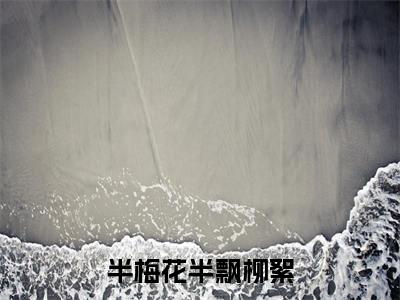 小说《半梅花半飘柳絮》全文免费阅读无弹窗-宋明哲楚嫣然小说全文在线赏析_笔趣阁