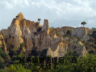 被未婚妻活埋后，我无敌了（苏宸）全文免费阅读无弹窗大结局_被未婚妻活埋后，我无敌了全文免费阅读最新章节列表